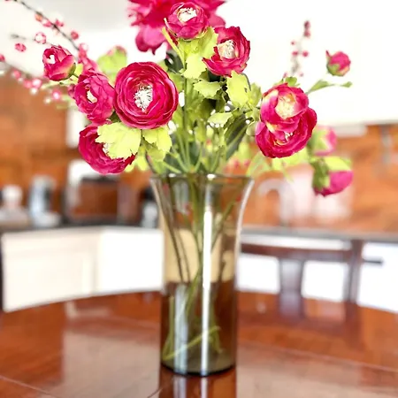 Large House Near Beaches & Surf 別荘